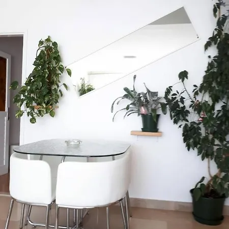 Eva Apartament *